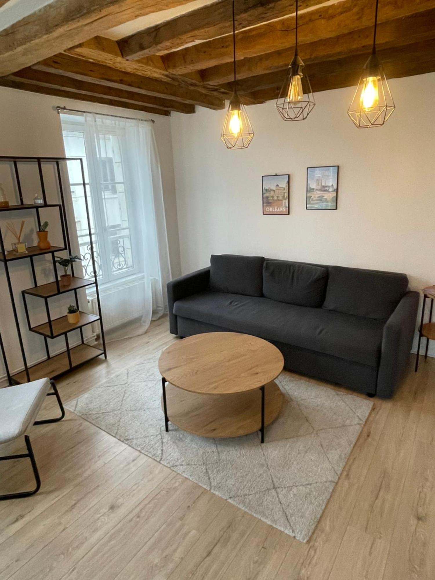 Charmant Appartement Orleans ! Esterno foto