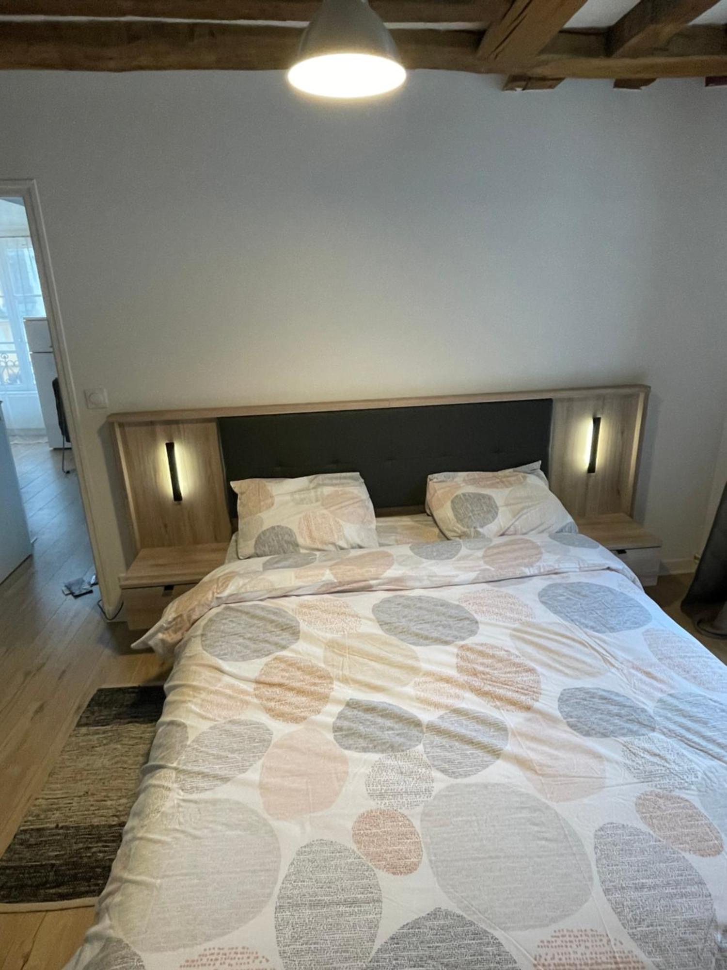 Charmant Appartement Orleans ! Esterno foto